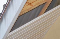 rated Pitmunie soffit repair companies